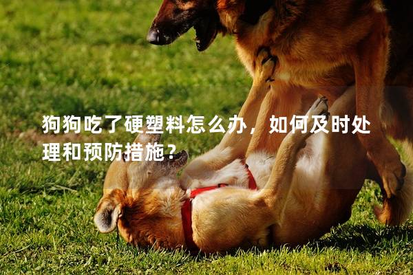 狗狗吃了硬塑料怎么辦，如何及時處理和預防措施？