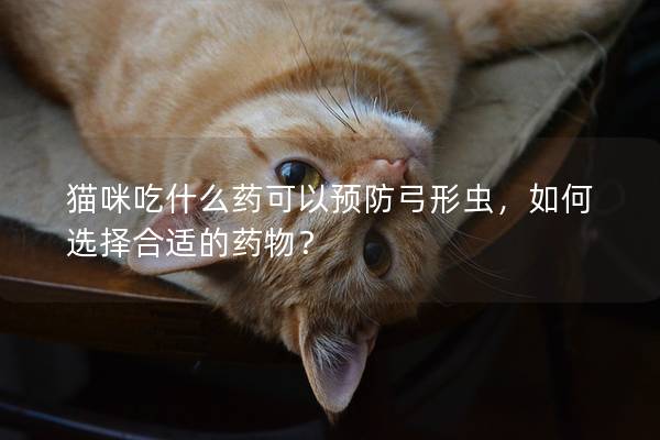 貓咪吃什么藥可以預防弓形蟲，如何選擇合適的藥物？