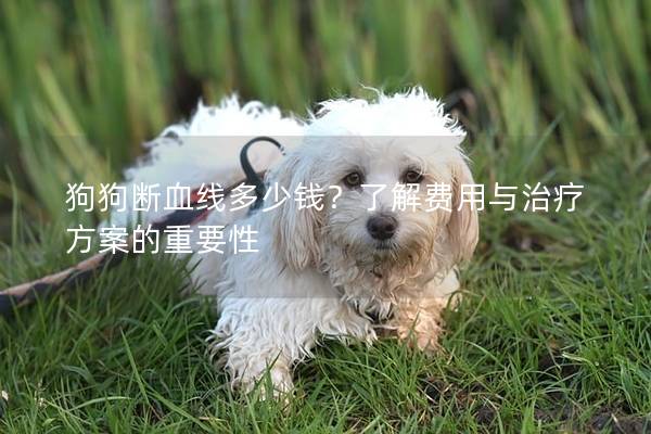 狗狗斷血線多少錢？了解費用與治療方案的重要性
