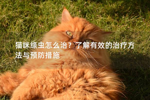 貓咪絳蟲怎么治？了解有效的治療方法與預防措施