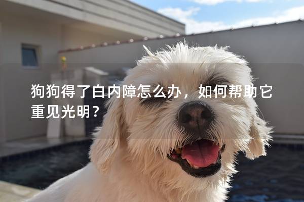 狗狗得了白內障怎么辦，如何幫助它重見光明？