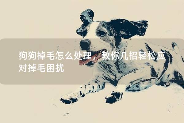狗狗掉毛怎么處理，教你幾招輕松應(yīng)對(duì)掉毛困擾