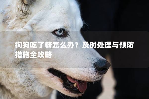 狗狗吃了糖怎么辦？及時處理與預防措施全攻略