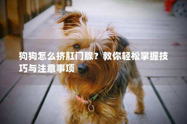 狗狗怎么擠肛門腺？教你輕松掌握技巧與注意事項