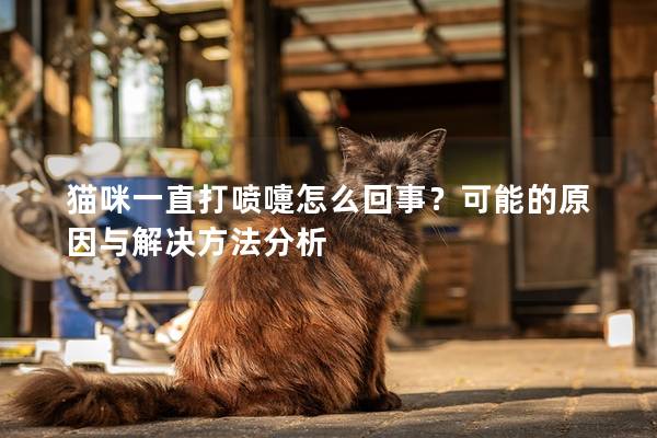 貓咪一直打噴嚏怎么回事？可能的原因與解決方法分析