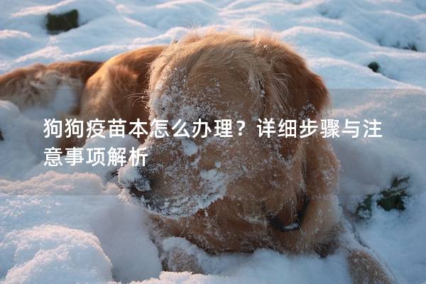狗狗疫苗本怎么辦理？詳細步驟與注意事項解析