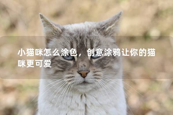 小貓咪怎么涂色，創(chuàng)意涂鴉讓你的貓咪更可愛