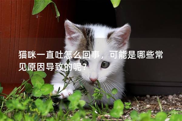 貓咪一直吐怎么回事，可能是哪些常見原因導致的呢？