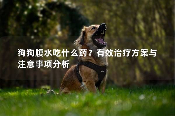 狗狗腹水吃什么藥？有效治療方案與注意事項分析