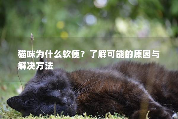 貓咪為什么軟便？了解可能的原因與解決方法