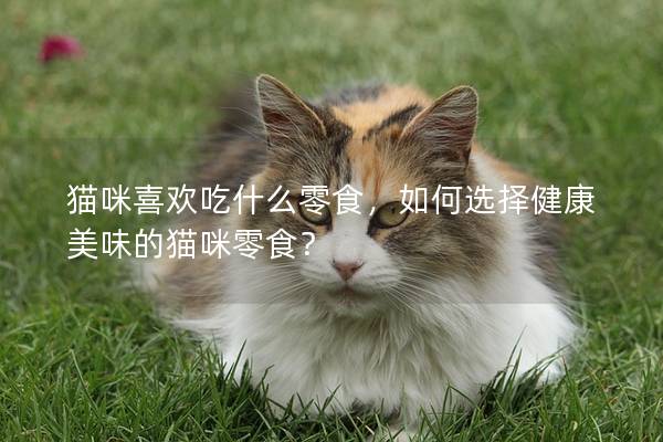 貓咪喜歡吃什么零食，如何選擇健康美味的貓咪零食？