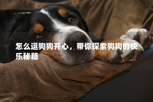 怎么逗狗狗開心，帶你探索狗狗的快樂秘籍