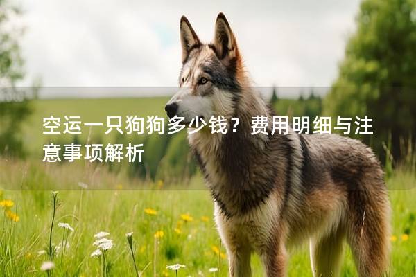 空運(yùn)一只狗狗多少錢？費(fèi)用明細(xì)與注意事項(xiàng)解析