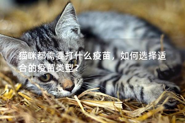貓咪都需要打什么疫苗，如何選擇適合的疫苗類型？