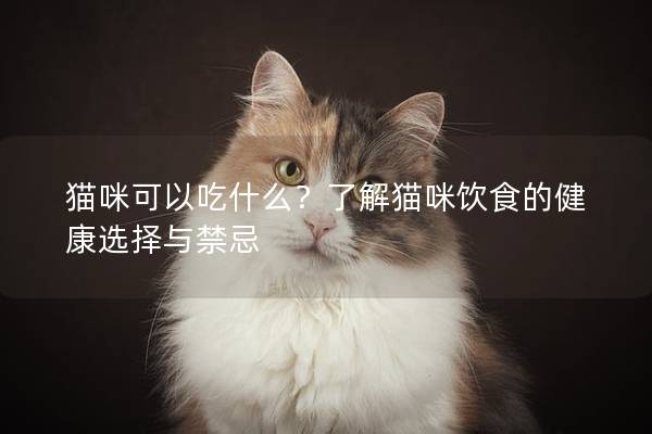 貓咪可以吃什么？了解貓咪飲食的健康選擇與禁忌