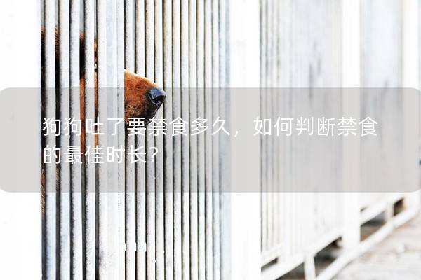 狗狗吐了要禁食多久，如何判斷禁食的最佳時長？
