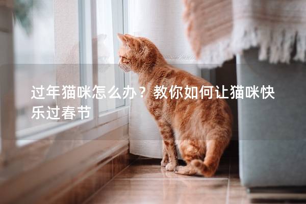 過年貓咪怎么辦？教你如何讓貓咪快樂過春節