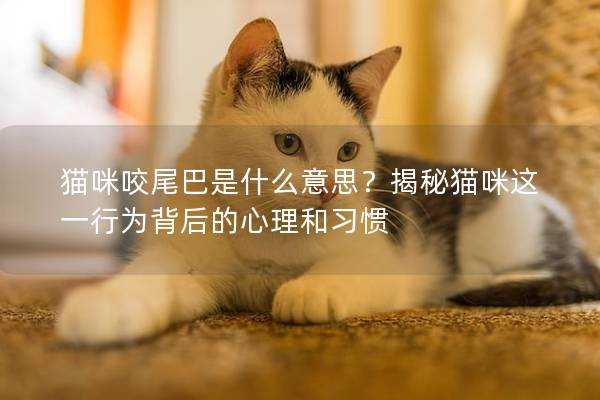 貓咪咬尾巴是什么意思？揭秘貓咪這一行為背后的心理和習(xí)慣
