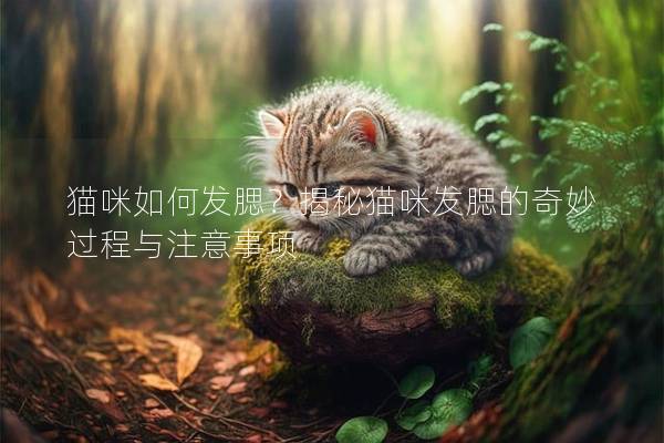 貓咪如何發腮?揭秘貓咪發腮的奇妙過程與注意事項 貓咪如何發腮?揭秘貓咪發腮的奇妙過程與注意事項