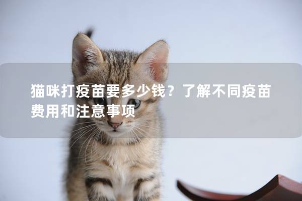 貓咪打疫苗要多少錢？了解不同疫苗費(fèi)用和注意事項(xiàng)