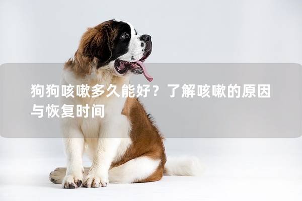 狗狗咳嗽多久能好？了解咳嗽的原因與恢復時間