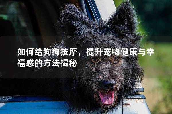 如何給狗狗按摩，提升寵物健康與幸福感的方法揭秘
