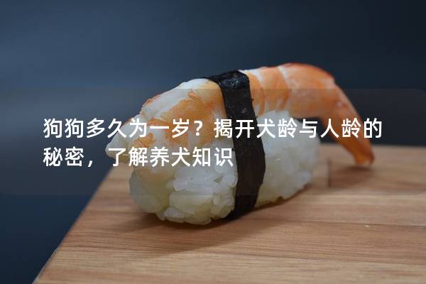 狗狗多久為一歲?揭開犬齡與人齡的秘密,了解養(yǎng)犬知識 狗狗多久為一歲?揭開犬齡與人齡的秘密,了解養(yǎng)犬知識