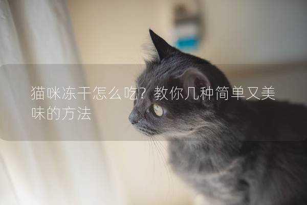 貓咪凍干怎么吃？教你幾種簡單又美味的方法