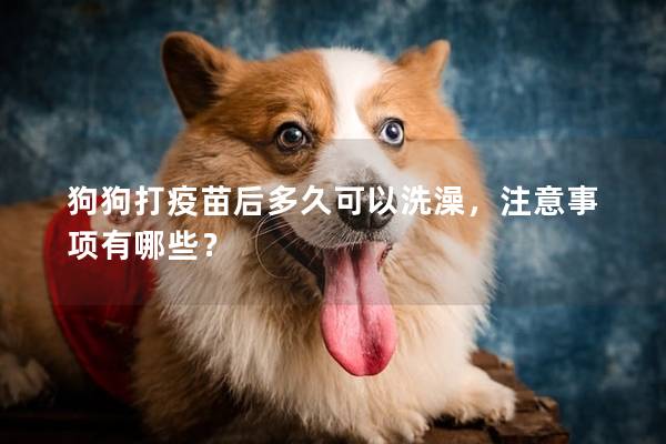 狗狗打疫苗后多久可以洗澡，注意事項有哪些？