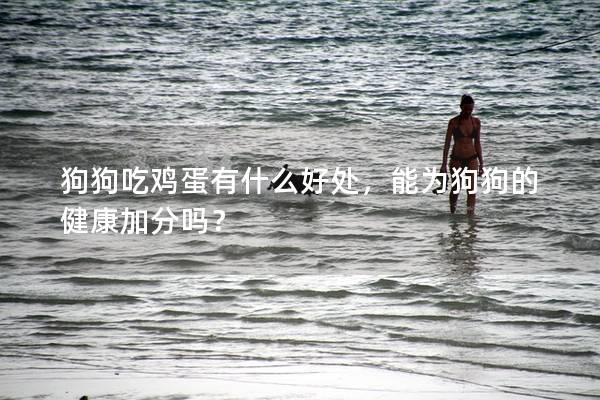 狗狗吃雞蛋有什么好處，能為狗狗的健康加分嗎？