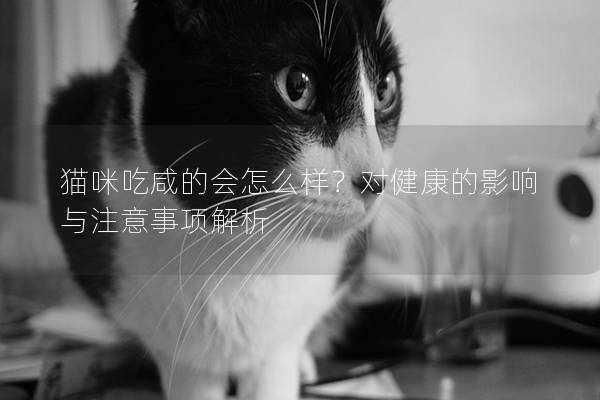 貓咪吃咸的會怎么樣？對健康的影響與注意事項解析