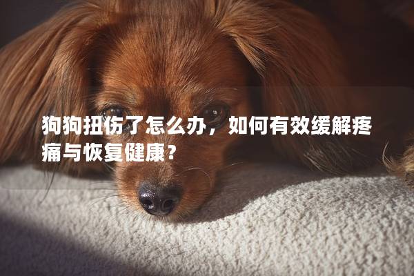 狗狗扭傷了怎么辦，如何有效緩解疼痛與恢復健康？