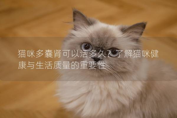 貓咪多囊腎可以活多久？了解貓咪健康與生活質量的重要性
