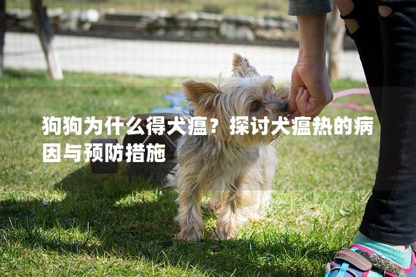 狗狗為什么得犬瘟？探討犬瘟熱的病因與預(yù)防措施