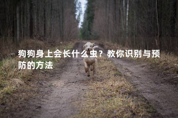 狗狗身上會(huì)長(zhǎng)什么蟲？教你識(shí)別與預(yù)防的方法