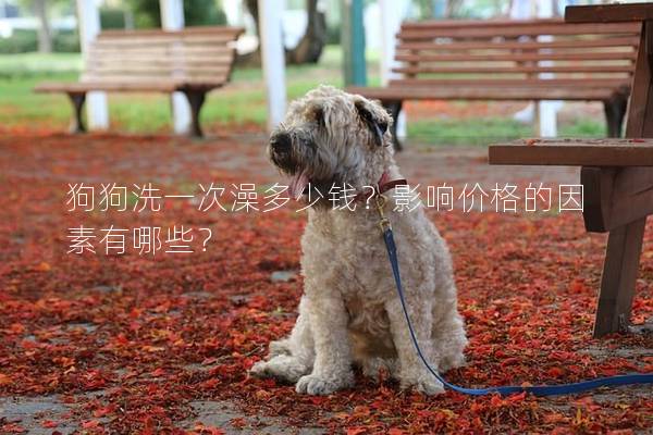 狗狗洗一次澡多少錢?影響價格的因素有哪些? 狗狗洗一次澡多少錢?影響價格的因素有哪些?