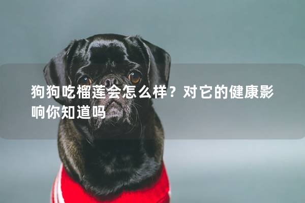 狗狗吃榴蓮會怎么樣？對它的健康影響你知道嗎