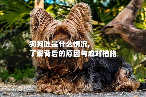 狗狗吐是什么情況, 了解背后的原因與應(yīng)對措施