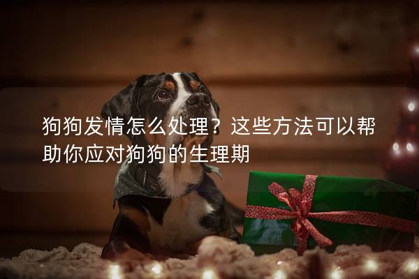 狗狗發情怎么處理？這些方法可以幫助你應對狗狗的生理期
