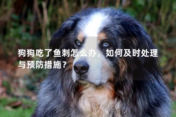 狗狗吃了魚刺怎么辦，如何及時(shí)處理與預(yù)防措施？