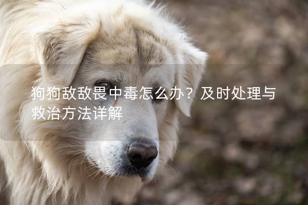 狗狗敵敵畏中毒怎么辦?及時處理與救治方法詳解 狗狗敵敵畏中毒怎么辦?及時處理與救治方法詳解