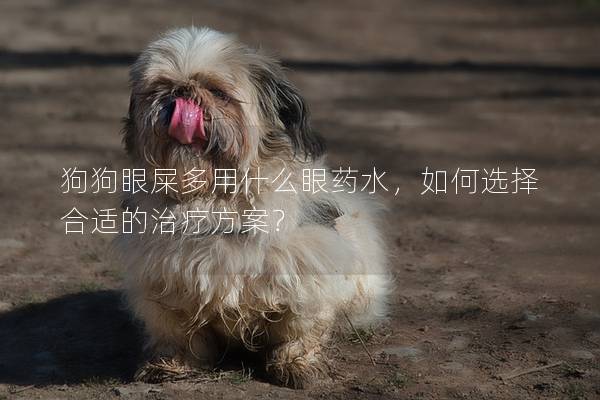 狗狗眼屎多用什么眼藥水，如何選擇合適的治療方案？