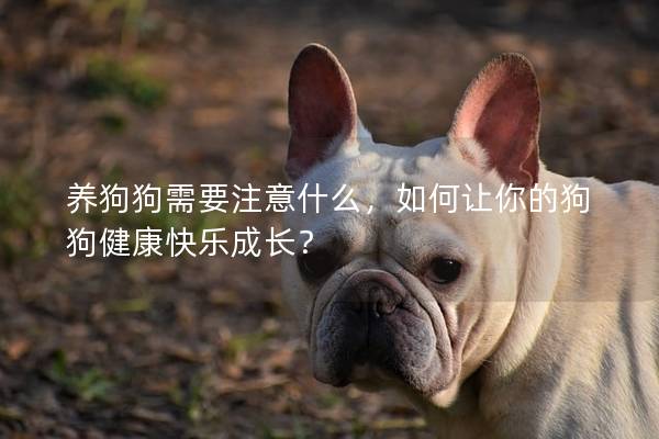 養狗狗需要注意什么，如何讓你的狗狗健康快樂成長？