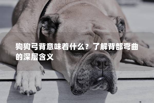 狗狗弓背意味著什么？了解背部彎曲的深層含義
