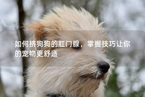如何擠狗狗的肛門腺，掌握技巧讓你的寵物更舒適