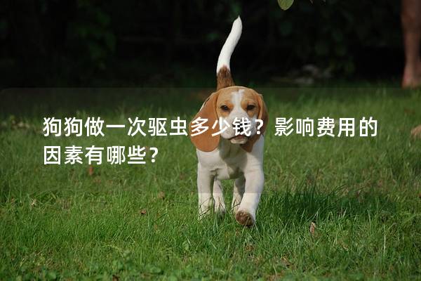 狗狗做一次驅(qū)蟲多少錢？影響費(fèi)用的因素有哪些？