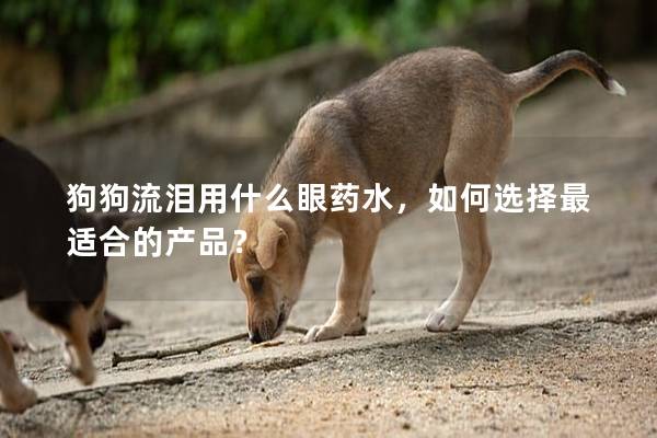 狗狗流淚用什么眼藥水，如何選擇最適合的產(chǎn)品？