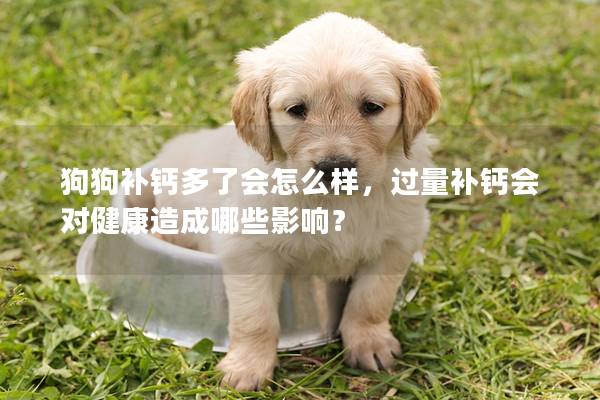 狗狗補鈣多了會怎么樣，過量補鈣會對健康造成哪些影響？