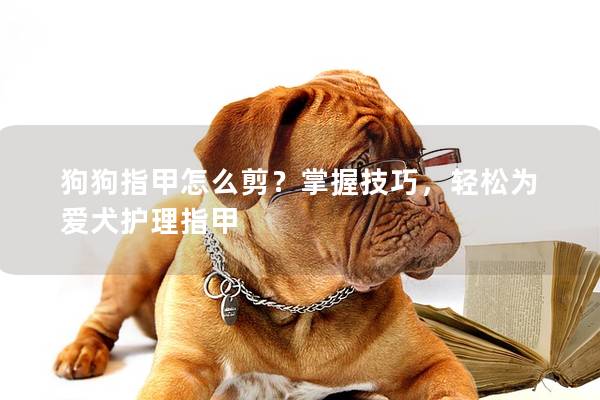 狗狗指甲怎么剪？掌握技巧，輕松為愛(ài)犬護(hù)理指甲