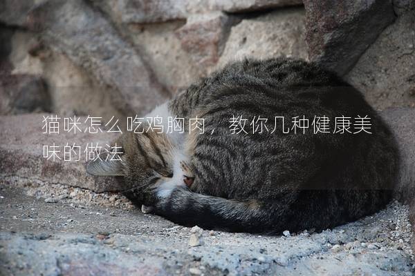 貓咪怎么吃雞胸肉，教你幾種健康美味的做法